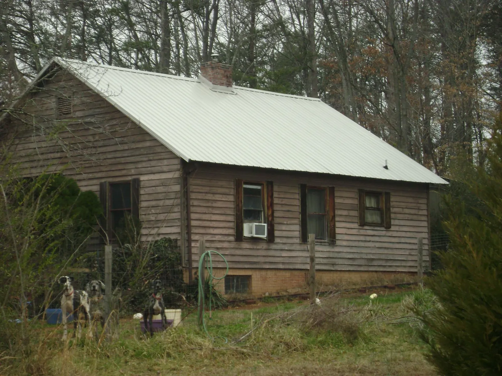 White metal roof on an old wood sided farmhouse, from a Asphalt Shingle Roof Repair job in Concrete